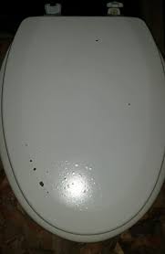 The whizz bang will then create an led light target in the bowl in an attempt to keep users focused on the process of peeing. Trouble With Fasteners Flying The Koop