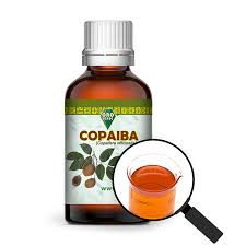 Image result for Copaifera