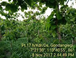 Taman wisata ds.pulau buayo kabupaten sarolangun, jambi / 014 tempat wisata di sarolangun jambi paling viral baru 2020 update wisatater. Https Rimbaindonesia Id Wp Content Uploads 2020 03 Mri Edisi 61 Pdf