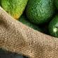 Pemberton Avocado Festival event image