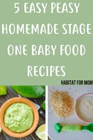 5 Easy Stage 1 Homemade Baby Food Recipes 4 6 Months Healthy Baby Food Easy Baby Food Recipes Baby Food Recipes