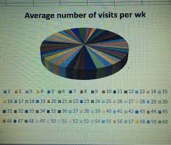Explain This Pie Chart Average Number Of Visits P