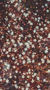 12 Floral Iphone Xs Wallpapers To Celebrate Spring Preppy Wallpapers Floral Wallpaper Iphone Preppy Wallpaper Spring Wallpaper