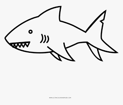 Showing 12 coloring pages related to baldi. Shark Coloring Page Shark Hd Png Download Transparent Png Image Pngitem