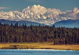 We did not find results for: Top 7 Alaska Destinations Blue Horizon