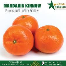 I only give him a couple segments, but i was wondering if it could be dangerous in some way for him since we have them almost daily. Fresh And Healthy Quality Oranges Exporting From Pakistan Eating Oranges Oranges Healthy