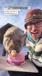 Meet Abigail the Cow at The Rylee Ranch