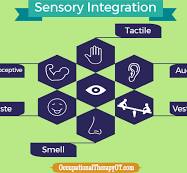 Sensory Integration | OccupationalTherapyOT.com