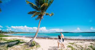 Whether you enjoy hiking, bicycling, fishing, bird watching, snorkeling or just relaxing on the most beautiful sugary white sand beach in the islands, villa flamenco beach is the perfect destination. How To Get To Vieques And Culebra Discoverpuertorico Com