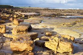 Fife Coastal Path Walkhighlands