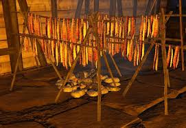 Place a fuel like thatch, wood or sparkpowder in the campfire's. Preserving Campfire Ark Primitive Survival Wikia Fandom