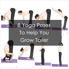 Grow Taller Guide How To Grow Taller Yoga Poses Increase Height Exercise