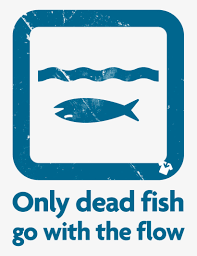 Only dead fish go with the flow | amy rees anderson's blog only dead fish go with the flow 25 it takes nothing to join the crowd. Only Dead Fish Go With The Flow Go Fish Free Transparent Png Download Pngkey