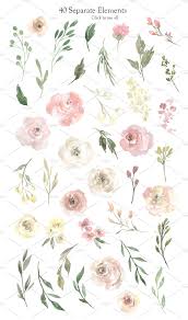 Dreamstime is the world`s largest stock photography community. Watercolor Neutral Floral Collection Floral Watercolor Flower Drawing Watercolor Flowers
