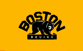 See more ideas about boston bruins, boston bruins funny, bruins. Gooseman