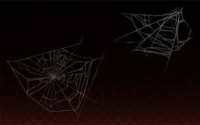 You can also upload and share your favorite spider web backgrounds. Free Vector Collection Of Realistic Cobweb Spider Web Isolated On Dark Background