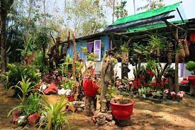 Seperti halaman moden, plot gaya kampung tradisional perlu dirancang dengan teliti. Rumah Idaman Halaman Rumah Kampung