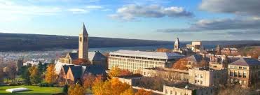 Ccny is a fairly large public school situated in new york, new york. Best Colleges Universities In New York Top Consensus Ranked Schools In New York 2021