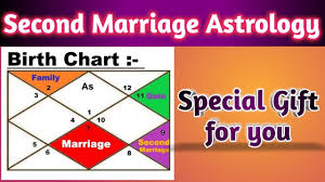Second Marriage In Astrology By Vedic Raj Astrology Multiple Marriage Special Gift For You