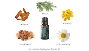 Dōterra steady® grounding blend draws on the unique benefits of essential oils such as amyris, balsam fir, coriander, and magnolia with fractioned coconut oil to help soothe the skin. Essential Oil Notebook Balance Grounding Blend I Heart Oils