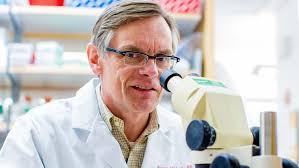 Big pharma shied away from gene therapy for years. Academia picked up the  slack