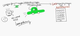 Porphyria Cutanea Tarda Tea Colored Urine Biochemistry Tea Mario Characters