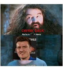 Harry maguire art of defending. Harry Maguire Is A Center Back Album On Imgur