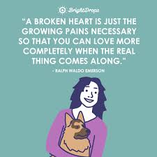 24 Inspirational And Healing Quotes For A Broken Heart Bright Drops