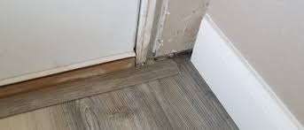 Dural multifloor door bar threshold strip cover plate. Vinyl Plank Flooring Entry Way Door Trim Question Home Improvement Stack Exchange