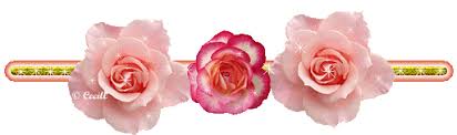 Resultado de imagen para guia flores