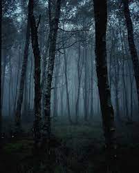Visit Me At House Of Tree Www Blytheayne Com Fairyhome Houseoftree Pinterestpoet Dark Landscape Forest Photography Dark Forest