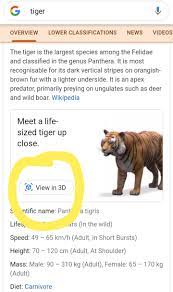 How to see 3d tiger in google search using google arcore app. 3d Animals Tiger 3d Animals Panda View In 3d