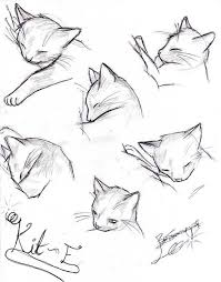Kit E Continued By Katanabrin On Deviantart Animal Drawings Animal Sketches Cat Drawing Tutorial