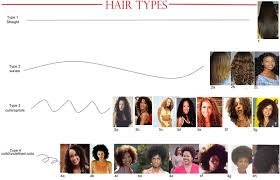 Moisturizing Hair Types 1 2 3 And 4 Vissa Studios