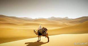 The most efficacious, but an ox, a cow, a sheep, a camel , an ass. Stop By To Appreciate The Desert Area I Was Having Fun Getting Lost In The Desert Blackdesertonline