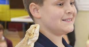 Snakes, lizards and toads — oh, my!