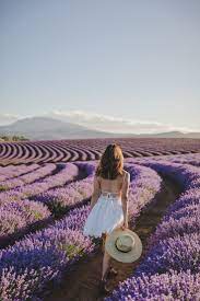 Bridestowe Estate S Lavender Dreams K Is For Kani Travel Photography Travel Inspiration Nature Photography
