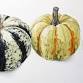 Illustrating Autumn's Garden Treasures event image