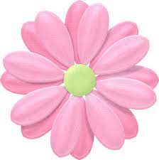 Yandeks Fotki Pereehali Pink Daisy Flower Clipart Flower Printable