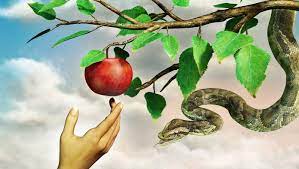 The tree of knowledge of good and evil was highly discouraged, a massive penalty was attached to misconduct to dissuade the man from eating of its fruit. Whistleblower Alerts Adam And Eve That God Withholding Knowledge Of Good And Evil From Them The Babylon Bee
