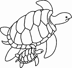 Sea Turtles Coloring Pictures Inspirational Collection Cute Sea Turtle Coloring Pages In 2020 Turtle Coloring Pages Animal Coloring Pages Baby Coloring Pages