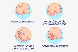 Cancer Testicular Que Es Sintomas Causas Y Tratamiento Tua Saude