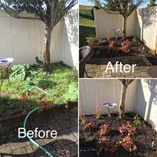 How Much Does Landscaping Cost Landscape Design Installation Maintenance And Native Plant Nursery Lauren S Garden Service