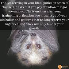 Bat Spirit Animal Spirit Animal Totem Spirit Animal Meaning Spirit Animal