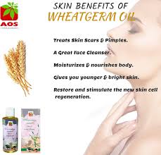 It is mainly because of use of numerous hair styling products, excessive sun. Aos Products 100 Pure And Natural Wheat Germ Oil Suitable For All Skin Types Pure Oil Use For Hair Care Skin Care 50 Ml Amazon In Health Personal Care