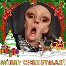 Robin Howland (@robinbuggerking) • Instagram photos and videos