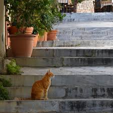 We did not find results for: Instagram Spots In Athens Anne Travel Foodie