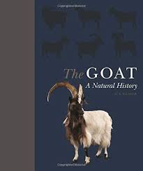 Look a goat :1 year of good luck bestowed upon you. The Goat A Natural And Cultural History Weaver Sue Cherney Debbie Amazon De Bucher