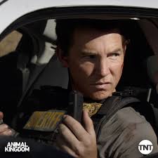 Animal Kingdom TNT added a new photo.