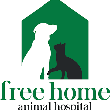 270 vernon woods dr ne, atlanta, ga 30328. Vernon Woods Animal Hospital Home Facebook